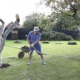 Kako iščupati drvo jabuke